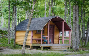 Patten Pond Camping Resort Cabin 8, Ellsworth